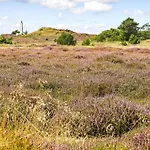 Bv402-blavand-vestslugen-6 * Blåvand
