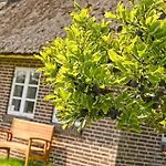Casa vacanze Bv402-blavand-vestslugen-6 Blåvand