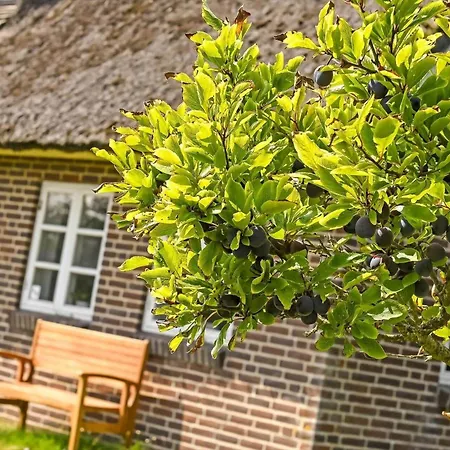 Holiday home Bv402-blavand-vestslugen-6 *