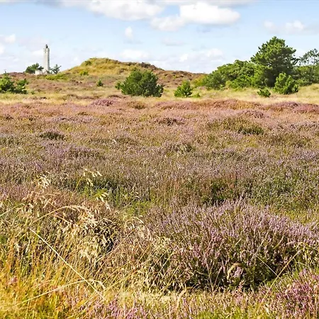 Bv402-blavand-vestslugen-6 * Blåvand
