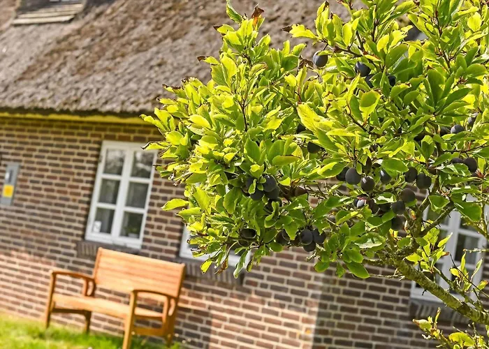 Feriehus Bv402-blavand-vestslugen-6 Blåvand